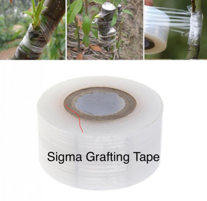 Sigma%20Ltd